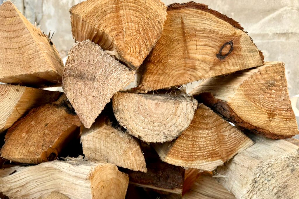 softwood logs